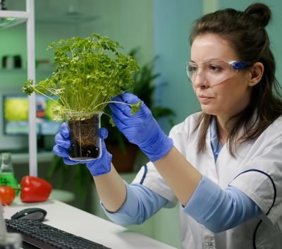 Botanist researcher woman examining green sapling observing genetic mutation analyzing organic plants for agriculture experiment. Chemist working in biological pharmaceutical laboratory SSUCv3H4sIAAAAAAAACnRV247bOAz9lYDP8UA3S3beFugFLXaLAbpoH5pFIVlyIoxtBbbcC4L596XkTOvMpPMwkA8pkoc6ZM5g9OQb2J3Bd908xVFHHwbYkS2MbrBuzMdvI5ckn5z1MYxed/nL6NgcB9072A1z1z1uYYo6zpObUsQ+pFiuc70bIiJ8C40ephiah9MxxAA7pragbTAug8v3KQy2XI7TcY7RjSuj++lcDzu6Bcr42OaYdnS6n6JPVSSfJnRhHk34kf2MP6wzJn93CpOPGZguNXS6/5mOyKDR0R2Q4sLh0p4v54TDDj423g2NAyxuNvj9j58a13V6cGGe4HH75PcmBLvRg928Gv3w8Cf3/zD1AeNh7vMj5h6xWTp37wtwIomipS4sMboQiraFbgmenGiVsZVRosG4lrayEbQsypKyQlhmCi1cXRCrREupaaUl6MZIpSXVsqCUyUIIqYqKKFEQwy1tqpLqWgKW8/AdG94n6liOnq3Hnp3hW2h0l14QwdPoGz8cFo8Qj0kiyDrMQxyRB2CyLoSTNh2+R4vX3BaOeprQwV6A1GXUWuiXIEOIiXK6abH5eKKcyVrwqqoUZ4RIxuFJWkePF1OiM8ynLmjrbNaab8awPDTKGF9eMsppKVW1faHDbCsVK+kLQS6mmqZra2FmvK4Z+S3QNXQt1LXlSbAr6KLcNbSW8BpfS3mBOateaHpteibuiwnf+5fIL1ApZRrX2fQeS889vNWLS9gbvcj4TeJLIS8p5Spu155N143J0HWvseY/Mcymmw9d17KSabhyWm+nG1ShZkLyumJwTRUERxVyVmf9XXEFWivUEOdSwTVbYLQmXFYkzd0zuiBwEKuqVunShS9e1ocwNUgVozBKSkIJofCLPdBScCaIECnTNX0QikkhabY95w9U1kSpkuJiAo9vDLRVUlvcIoRzUQitWWFoZQpT84o6y0pcExhomaxUcJrPNox9XmqjnrABecBxH5x0PCL4erff07vN5zA+4FrY3OfC9ntZI/jm9eZvbQL+qODIborNPW6+iEY0vcJC9/sP7z68/+vT14+ESvxH6Nd/GSd3JP0xJe/e37+Fx/8BAAD//wMA2AuKDaQGAAA=